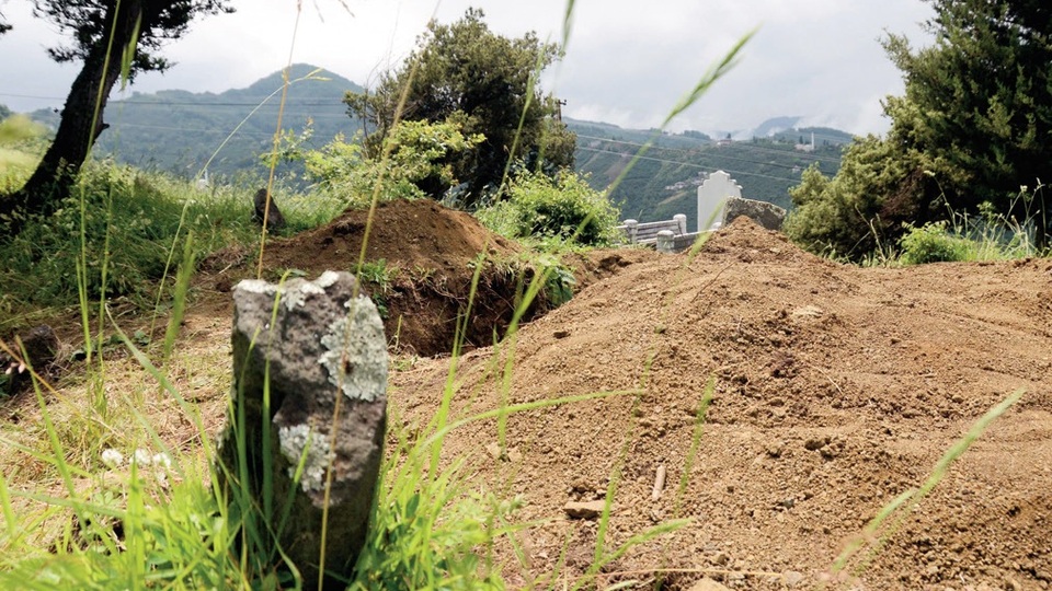 Delik deşik ettiler