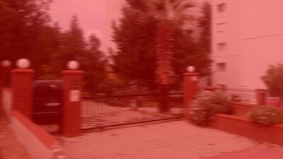 Duyanların tüyleri ürperdi! İlk onu gördüler