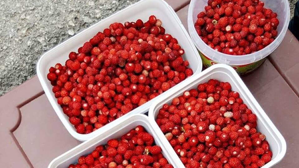 Talep patlamasının nedeni...