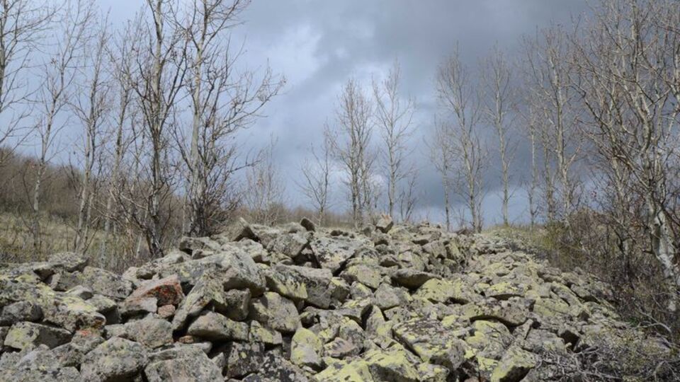 5 hektarlık alanda keşfedilmişti! Ekipler harekete geçti