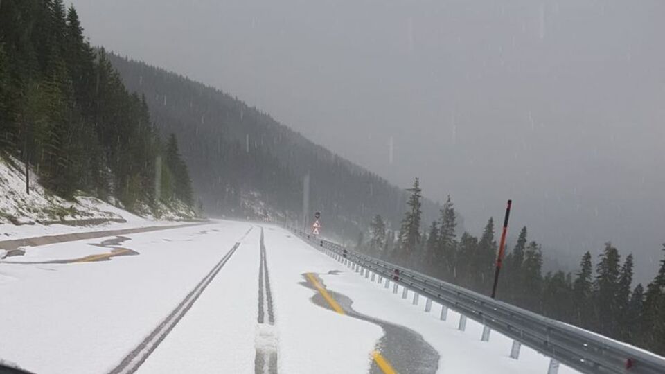 Fotoğraf bugün çekildi! Şaşırtan görüntü...