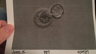 Gelininin bebeğini doğurdu!