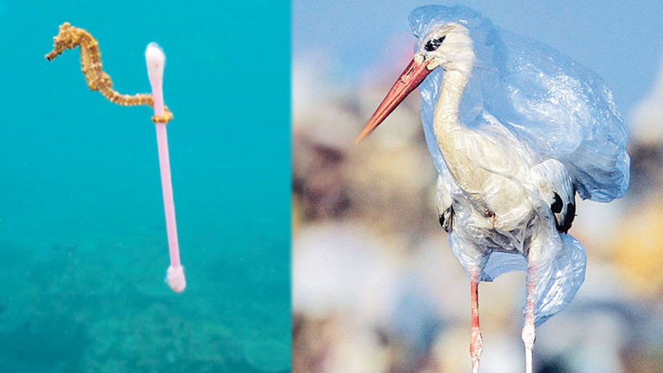 Doğada yaşanan kirliliğe çarpıcı kare