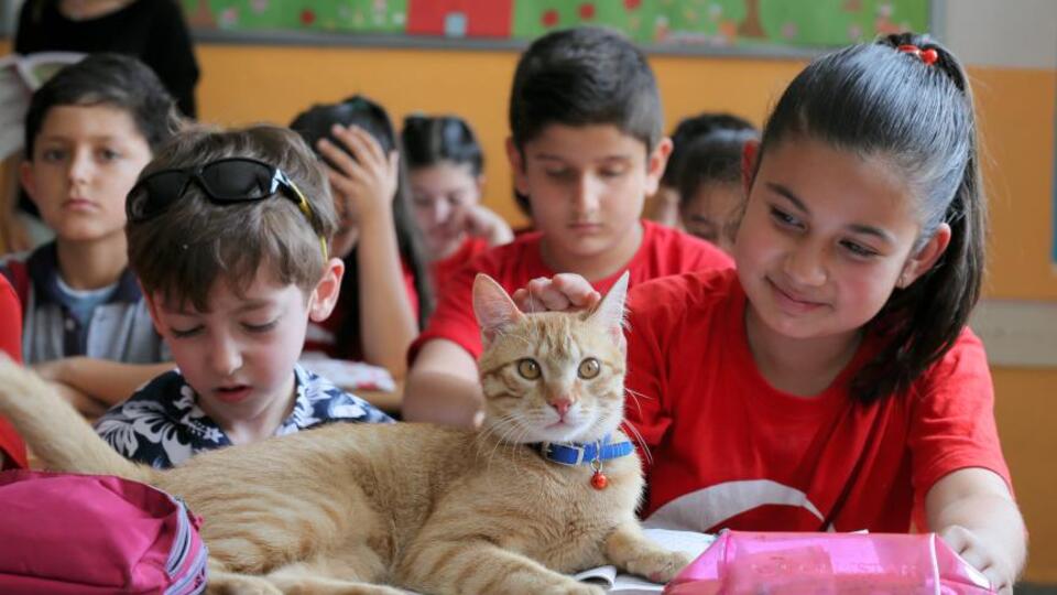 Öğrencilerin sevgilisi Tombi Türkiye'yi geziyor