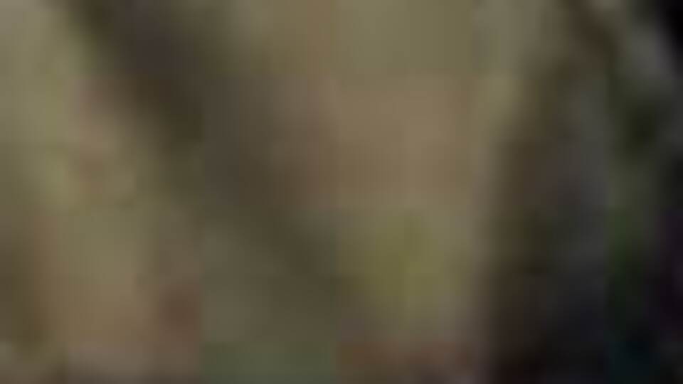 Şırnak'ta terör örgütü PKK'ya operasyon