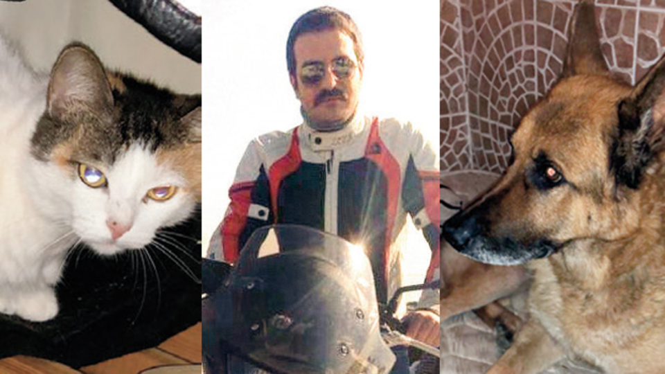 Arkadaşları, Ares ve Vilma'ya sahip çıktı