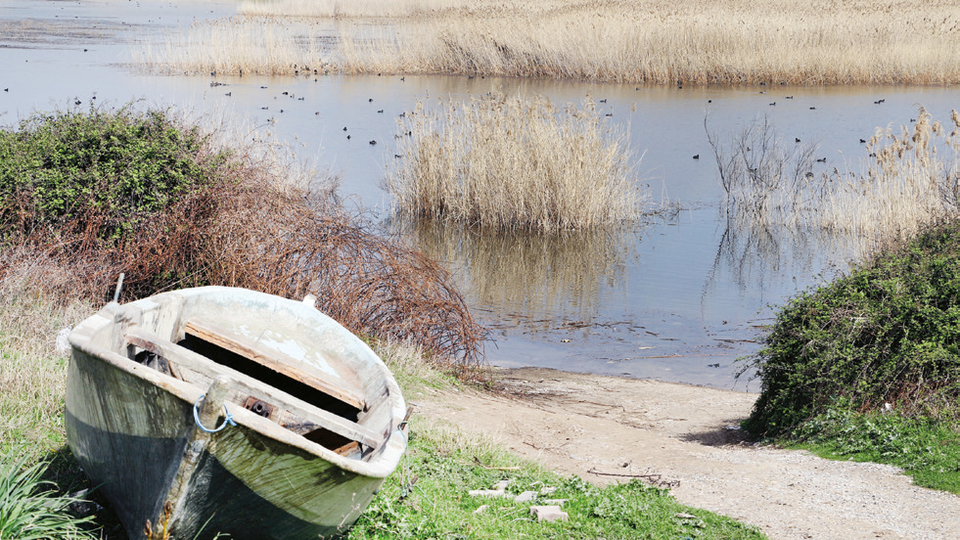 "Marmara Gölü'nü koruyup, kullanacağız"