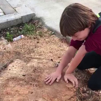 Yürek burkan görüntü...