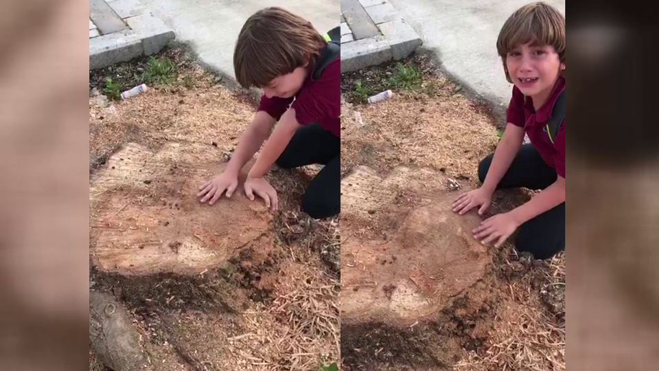 Yürek burkan görüntü...