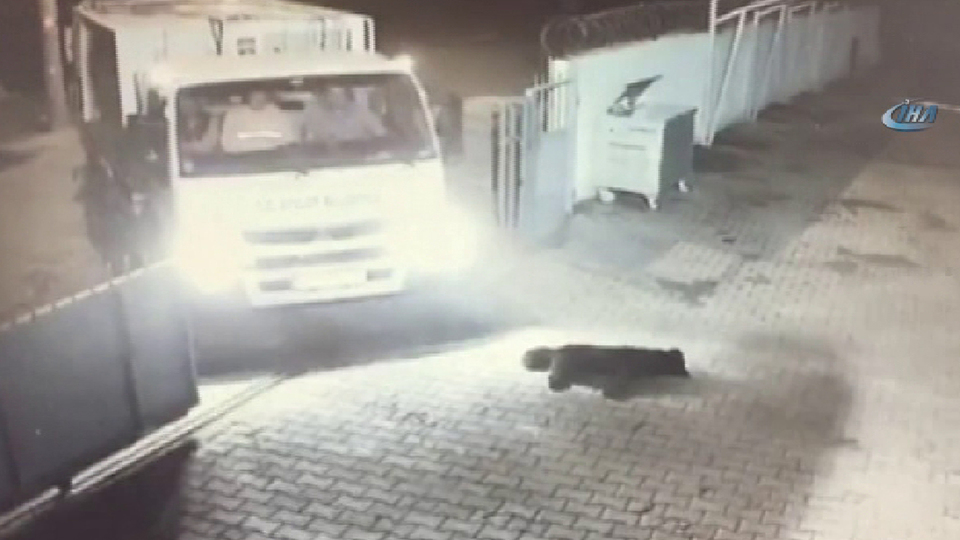 Kapı yavaşça açıldı, sonrası dehşet! Harekete geçildi