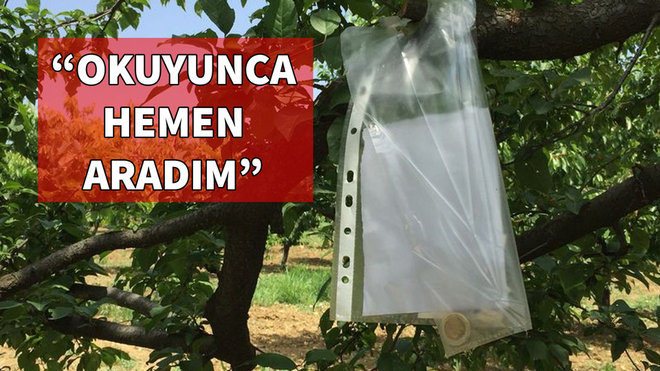 Bahçesine gittiğinde ağaca asılı notu gördü!
