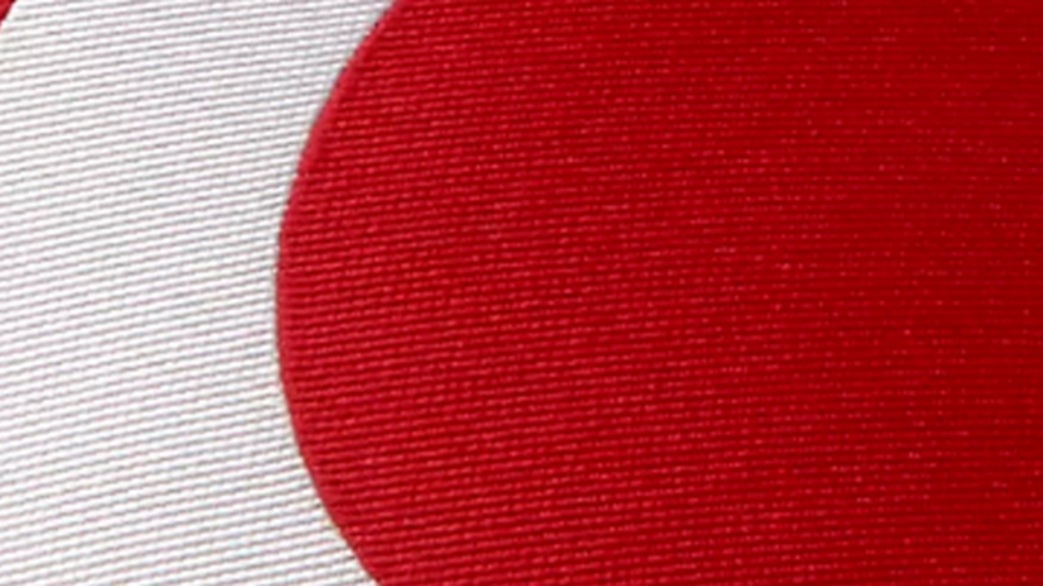 Milli Takım'da şok sakatlık!