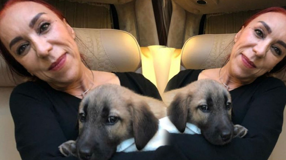 Yavru köpeğe sahip çıktı