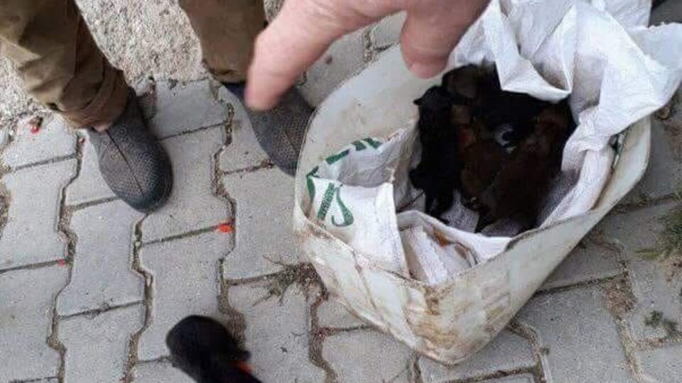 Yetkililer onlarla yakından ilgileniyor!