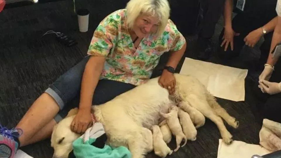 Havaalanında sürpriz doğum