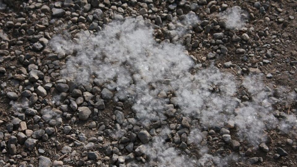 Vatandaşlar dışarı çıkamıyor!