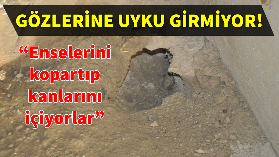 Mahalleli çok tedirgin