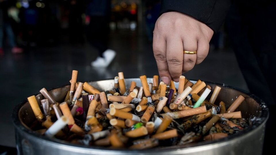 Dünya Sigarayı Bırakma Günü'nde grafiklerle Türkiye