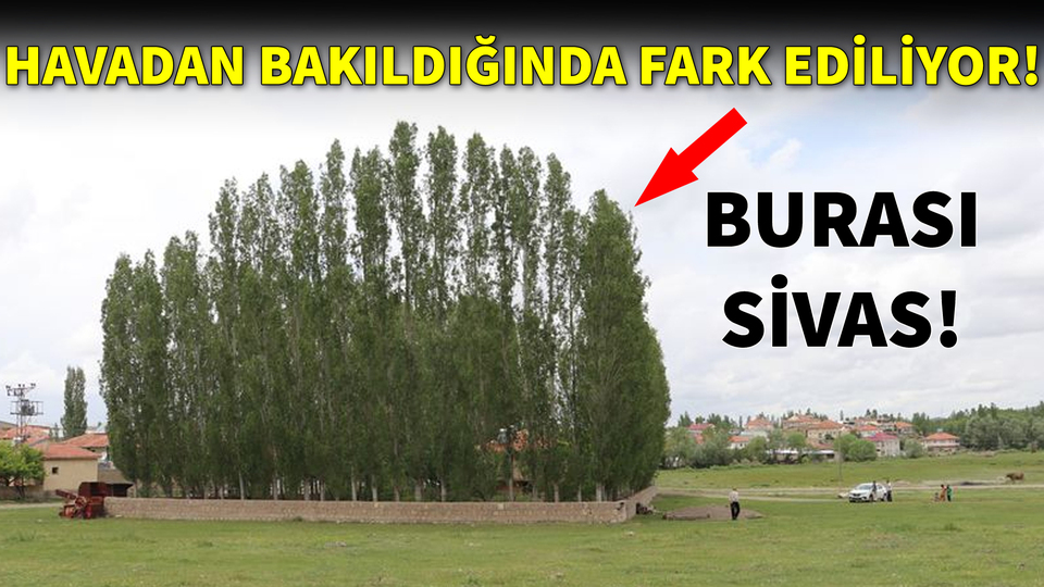 Burası Sivas... Sadece havadan bakıldığında fark ediliyor!