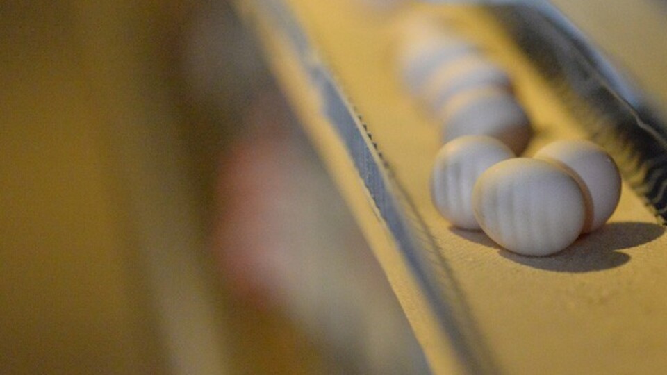 İhraç edilen her 3 yumurtadan biri Kayseri'den