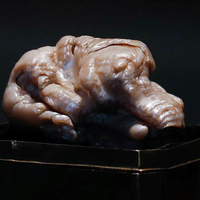 1.9 milyon liraya satıldı!