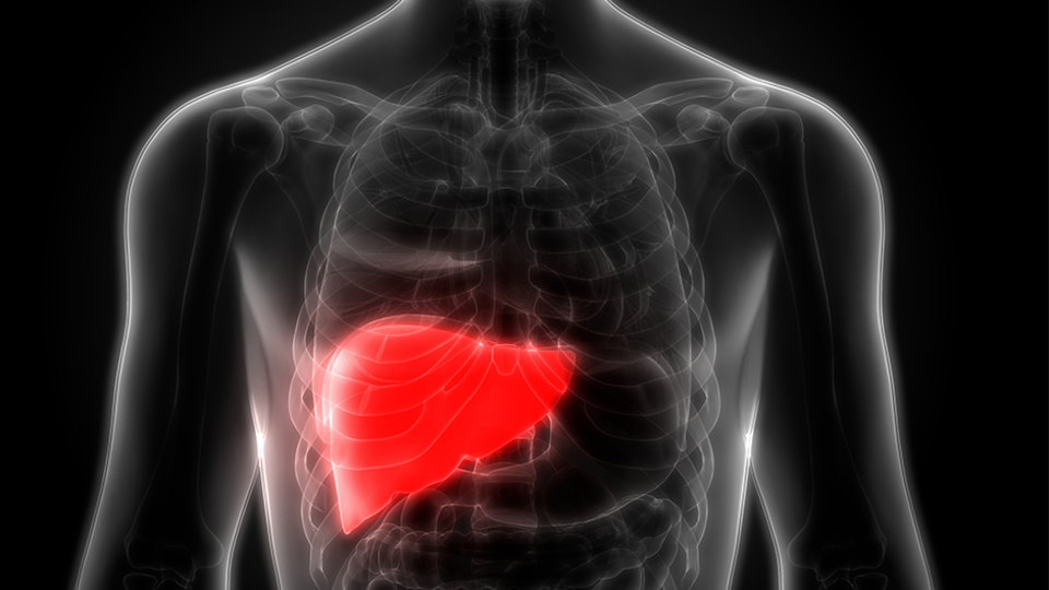 Sinsi hastalık! Hastayı siroz yapmadan bırakmıyor!