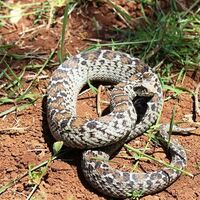 Gördükleri an bir farklılık olduğunu anladılar!