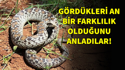 Gördükleri an bir farklılık olduğunu anladılar!
