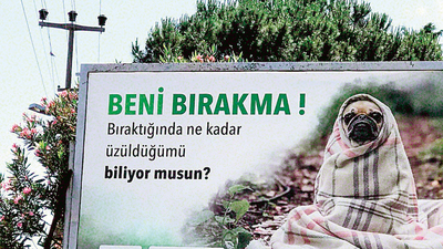 Sahiplerine de Mozart dinletin