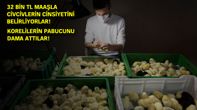 İki seksör kapış kapış