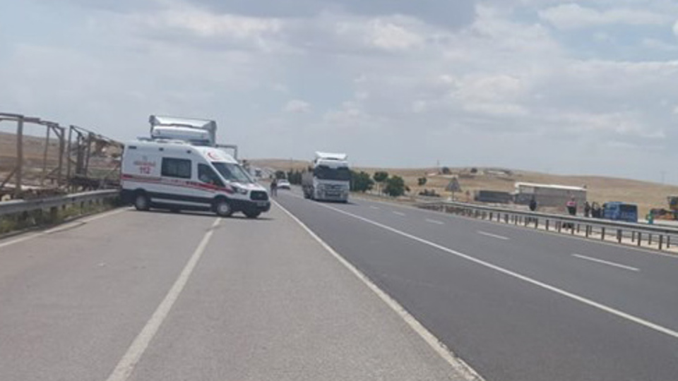 Yol kenarında ölü bulundu