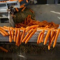 Mayıs ayının zam şampiyonu havuç