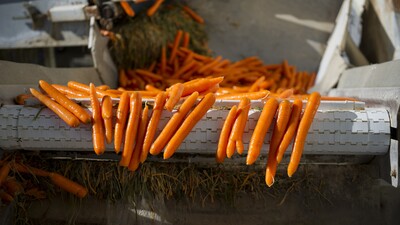 Mayıs ayının zam şampiyonu havuç