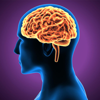 IQ'yu artıran tüyolar! 1 hafta boyunca...