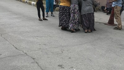 Bonzai bu kez Keşan'da can aldı