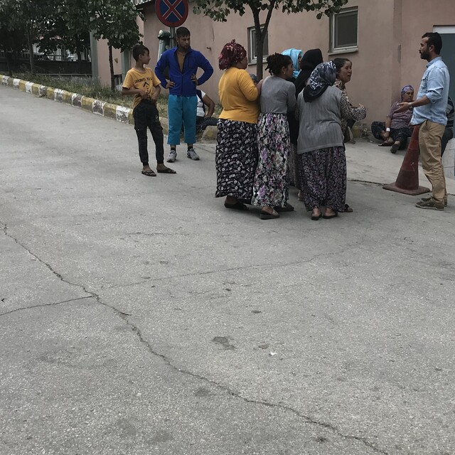 Bonzai bu kez Keşan'da can aldı