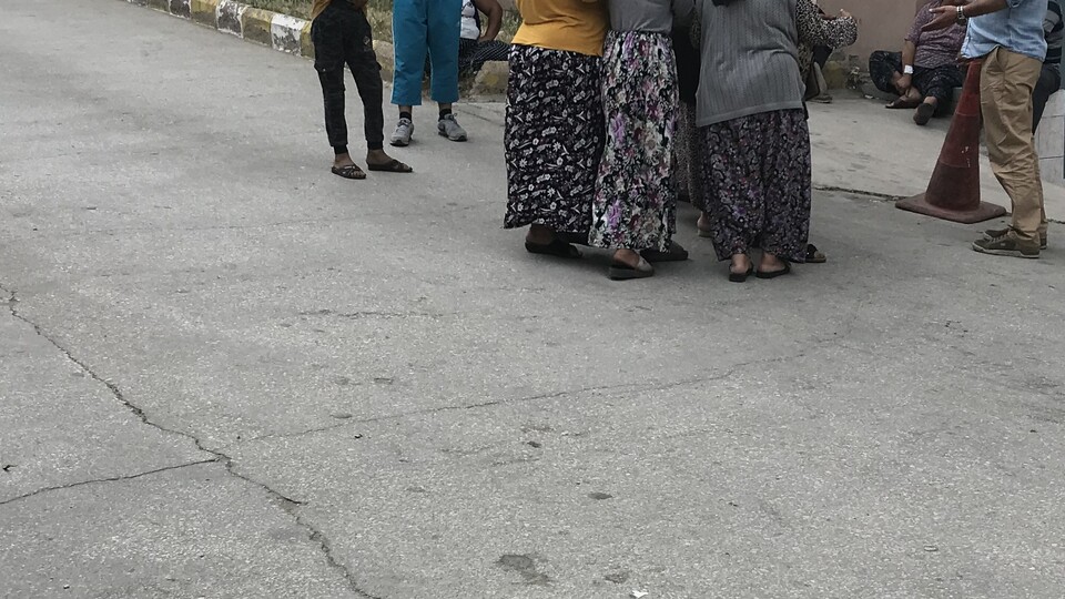 Bonzai bu kez Keşan'da can aldı