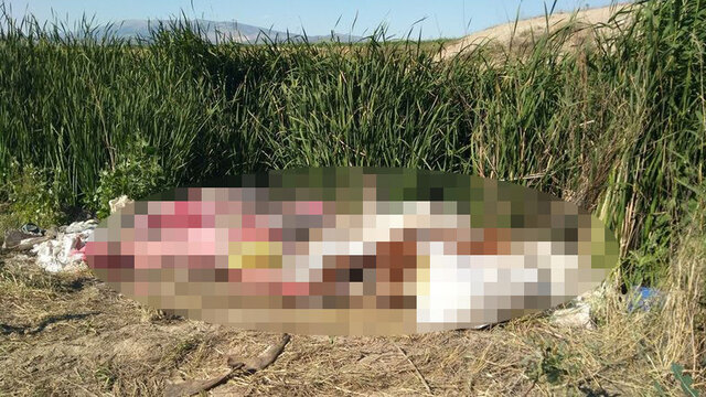 Koku her yeri sardı! Kimse oradan geçemiyor