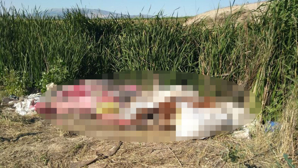 Koku her yeri sardı! Kimse oradan geçemiyor
