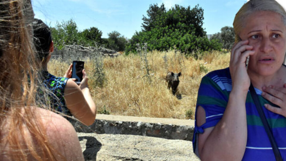 Bodrum'da panik! Sitenin altını üstüne getirdiler