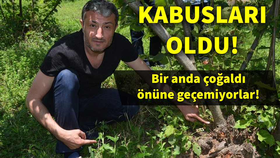 Trabzon'a İstanbul aktarmalı gelmiş!