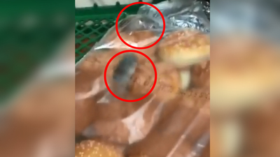 Skandal! Dev fast food zincirinde fare rezilliği!