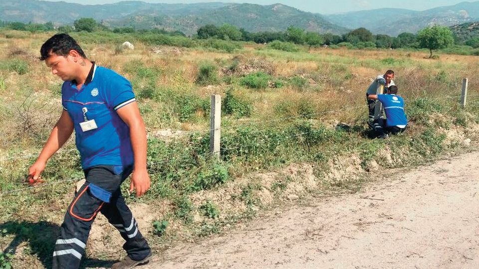 Gürün, meraları ıslah edip üreticiye sundu
