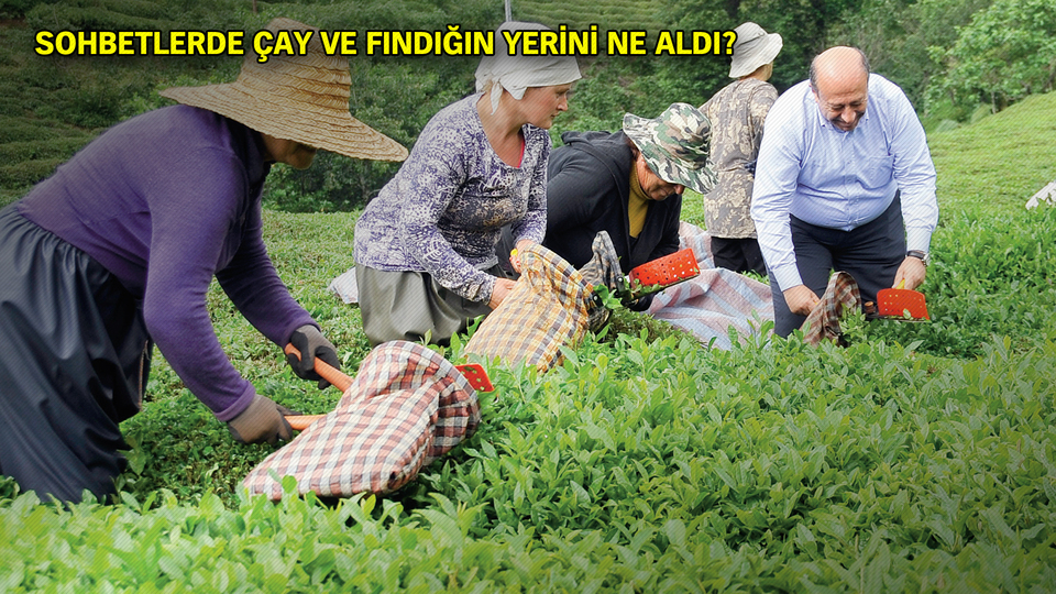 Karadeniz'in 'en sessiz' seçimi!