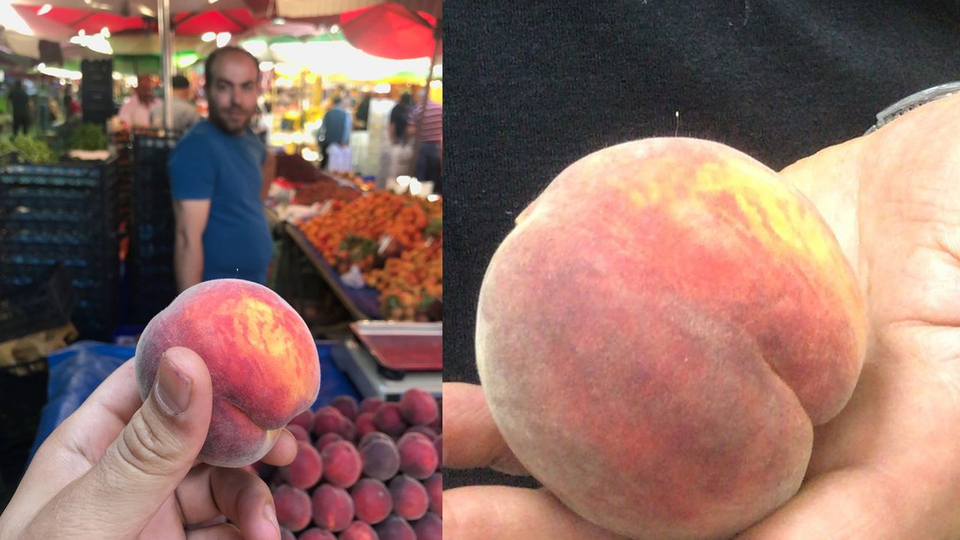 3 bin yılda bir açan çiçek İzmir'de bulundu!