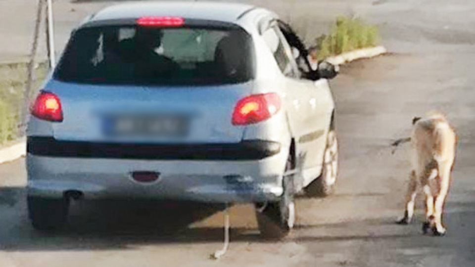 Araca bağlayıp götürdü