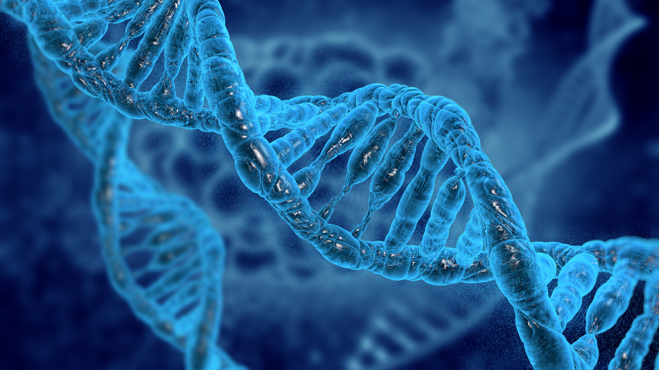 Kopan kol ve bacak yeniden çıkabilir...