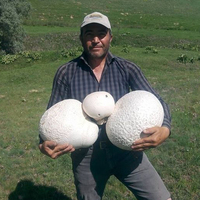 Gözlerine inanamadı! Biri 3 diğeri 4 kilo!