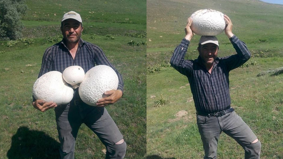Gözlerine inanamadı! Biri 3 diğeri 4 kilo!
