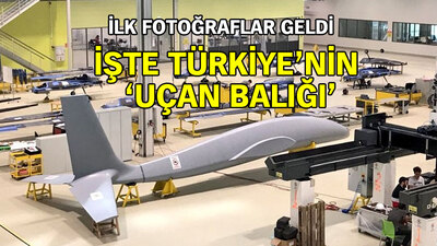 İşte Türkiye'nin 'uçan balığı'! İlk fotoğraflar geldi